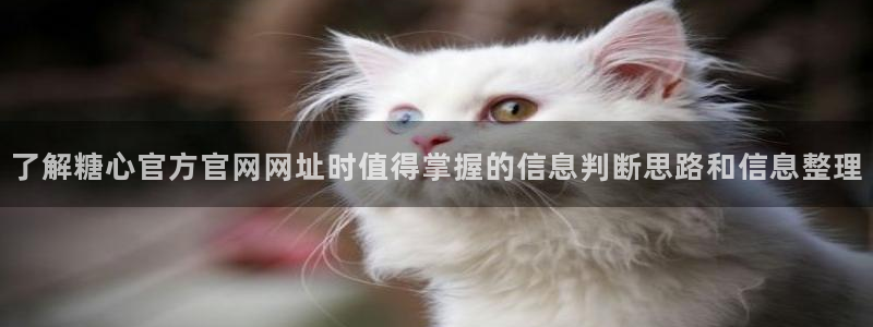 糖心传媒在线观看:了解糖心官方官网网址时值得掌握的信息判断思路和信息整理