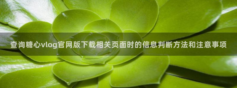 心糖vlog官网:查询糖心vlog官网版下载相关页面时的信息判断方法和注意事项