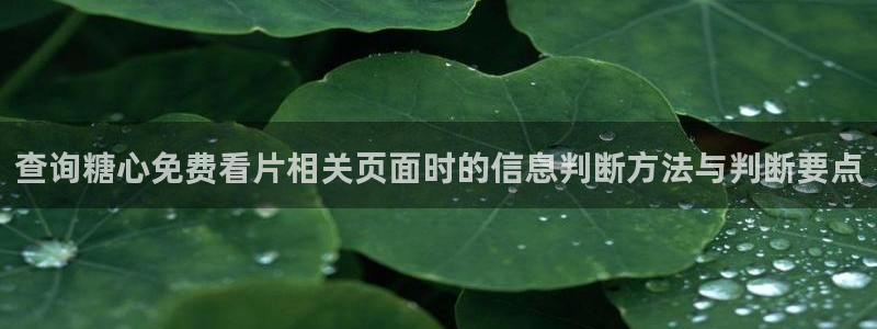 糖心vlog合集:查询糖心免费看片相关页面时的信息判断方法与判断要点