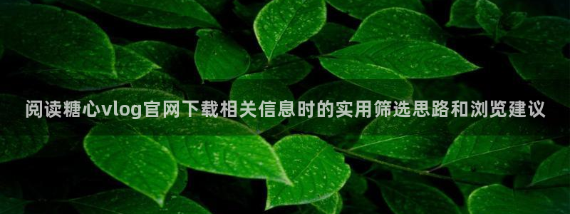 糖心破解版下载安装:阅读糖心vlog官网下载相关信息时的实用筛选思路和浏览建议