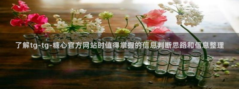 糖心app：了解tg-tg-糖心官方网站时值得掌握的信息判断思路和信息整理