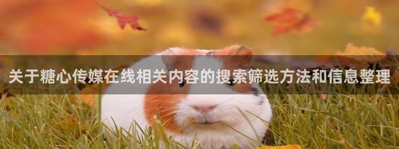 糖心下载:关于糖心传媒在线相关内容的搜索筛选方法和信息整理