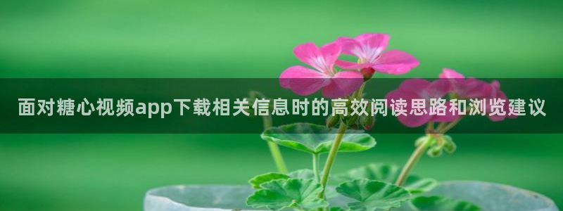 糖心在线免费看:面对糖心视频app下载相关信息时的高效阅读思路和浏览建议