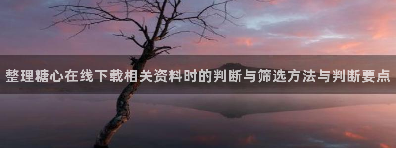 糖心vlog在线免费看:整理糖心在线下载相关资料时的判断与筛选方法与判断要点