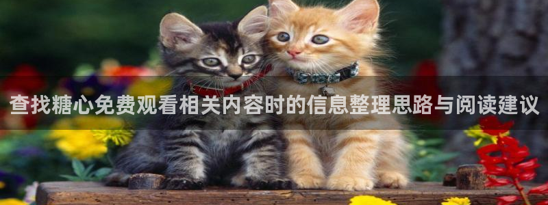 糖心vlog日常:查找糖心免费观看相关内容时的信息整理思路与阅读建议