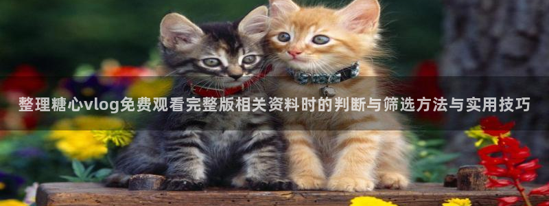 糖心免费网站:整理糖心vlog免费观看完整版相关资料时的判断与筛选方法与实用技巧