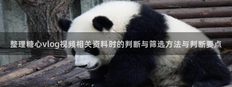 糖心传媒视频:整理糖心vlog视频相关资料时的判断与筛选方法与判断要点