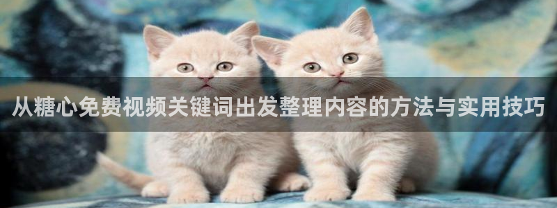 糖心视频:从糖心免费视频关键词出发整理内容的方法与实用技巧